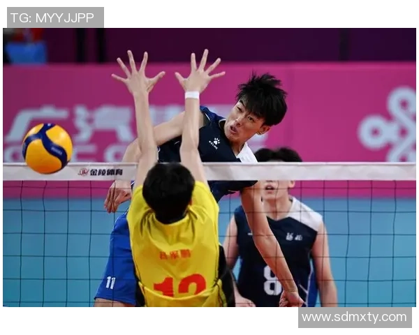 上海排球队战术实力强劲荣登排球战术排行榜第一位